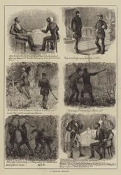 Una Scappatella di Bracconaggio